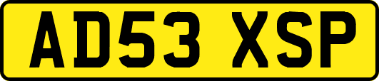AD53XSP