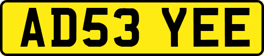 AD53YEE