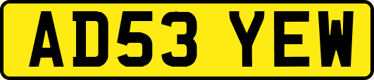 AD53YEW