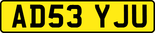 AD53YJU