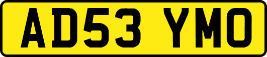 AD53YMO