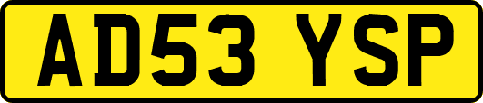 AD53YSP