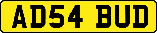 AD54BUD