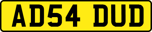 AD54DUD