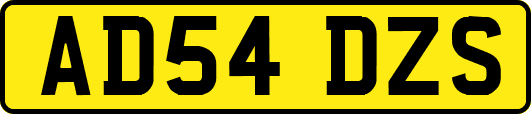 AD54DZS