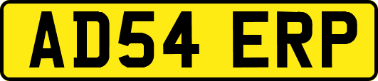 AD54ERP