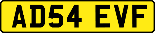 AD54EVF