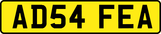 AD54FEA