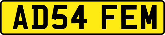 AD54FEM