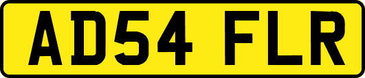 AD54FLR