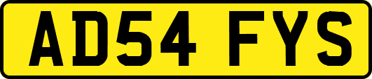AD54FYS