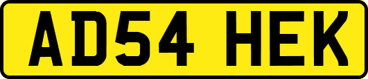 AD54HEK