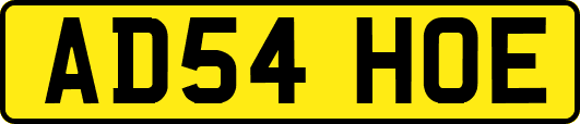 AD54HOE