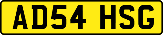 AD54HSG