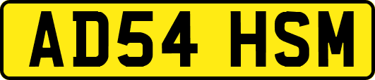 AD54HSM