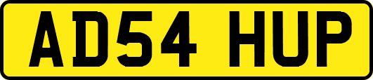 AD54HUP