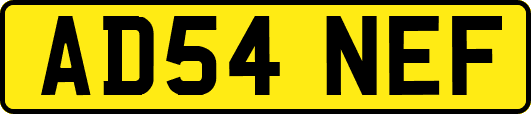 AD54NEF