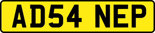 AD54NEP