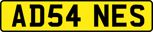 AD54NES