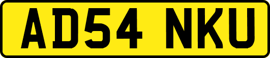 AD54NKU