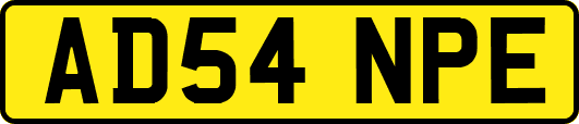 AD54NPE
