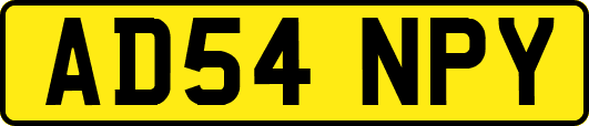 AD54NPY