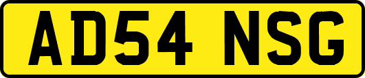 AD54NSG