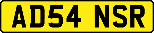AD54NSR