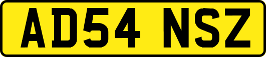 AD54NSZ