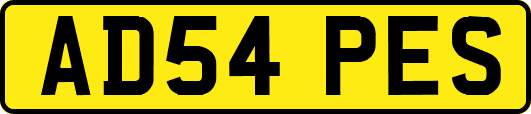AD54PES