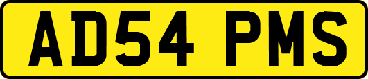 AD54PMS
