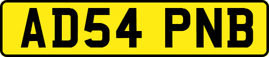 AD54PNB