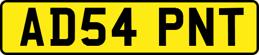 AD54PNT