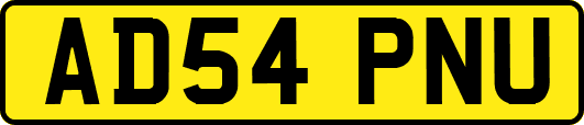 AD54PNU