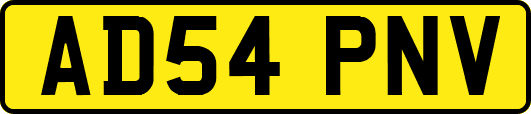 AD54PNV