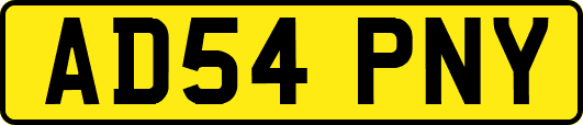 AD54PNY