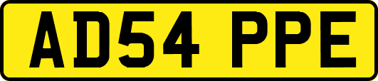 AD54PPE