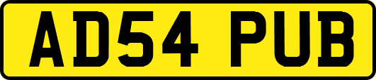 AD54PUB