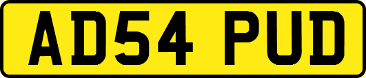 AD54PUD