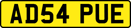 AD54PUE
