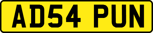 AD54PUN