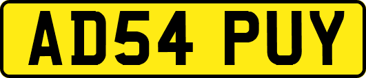 AD54PUY
