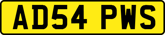 AD54PWS