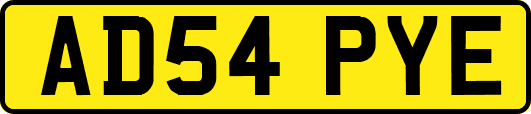 AD54PYE
