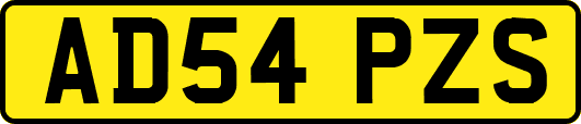 AD54PZS