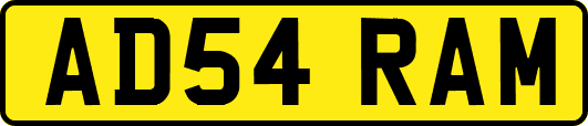 AD54RAM