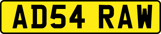AD54RAW