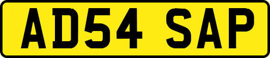 AD54SAP