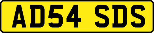AD54SDS