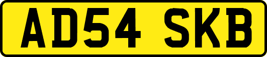 AD54SKB